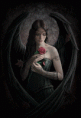 /album/fotogaleria/a222-gif/